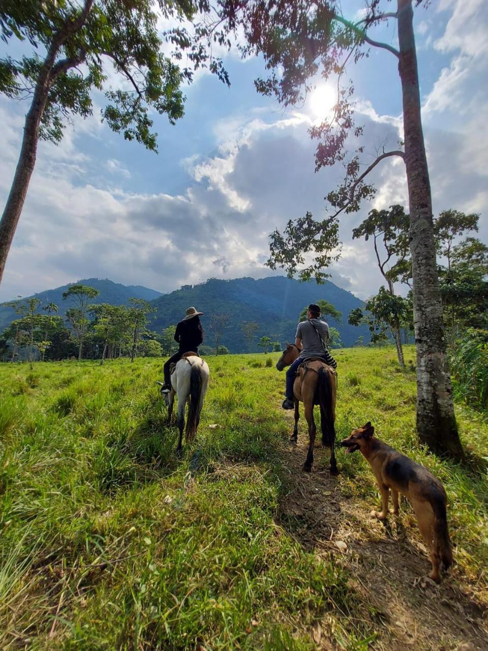 Rancho Porvenir Bed & Breakfast Mocoa Bagian luar foto